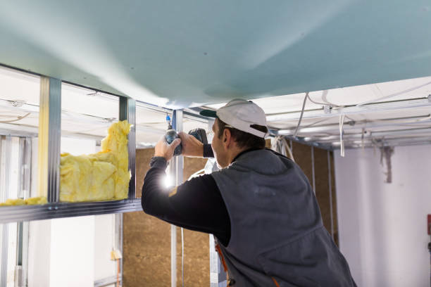 Best Professional Insulation Contractor  in Guthrie, OK